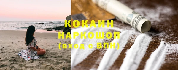 индика Арсеньев