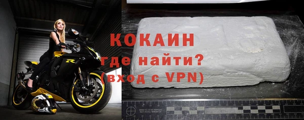 индика Арсеньев