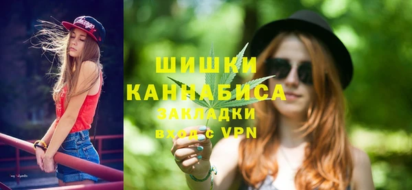 индика Арсеньев