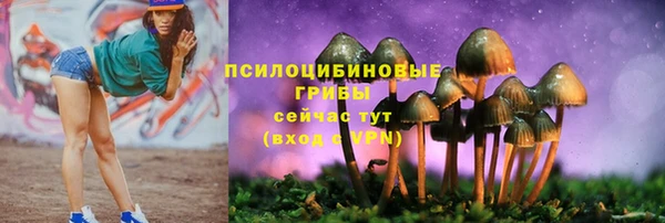 ALPHA PVP Аркадак