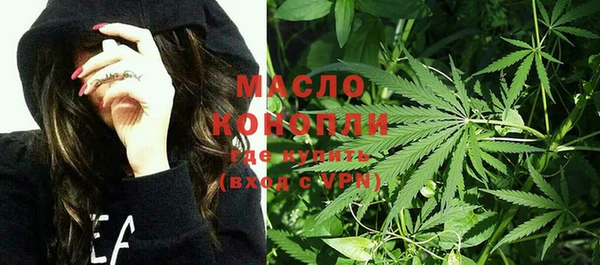 индика Арсеньев