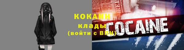 индика Арсеньев