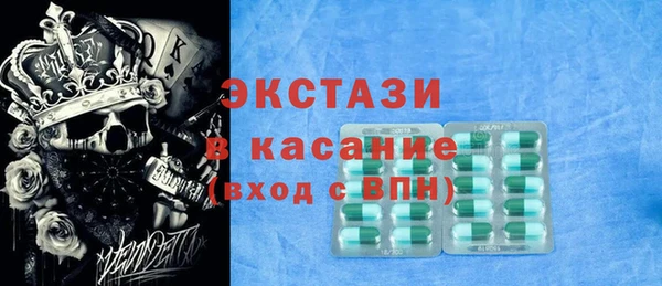 индика Арсеньев