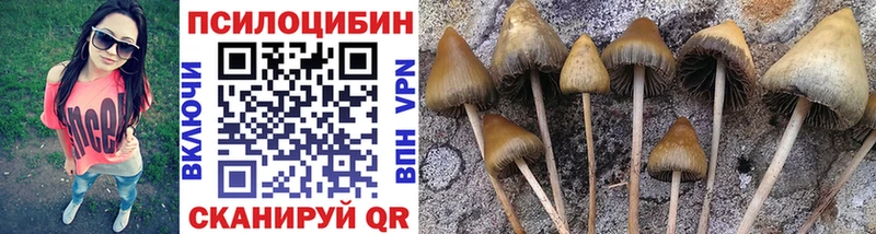 Псилоцибиновые грибы Psilocybe  Усть-Илимск 